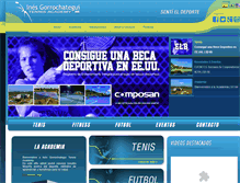 Tablet Screenshot of inesgorrochategui.com